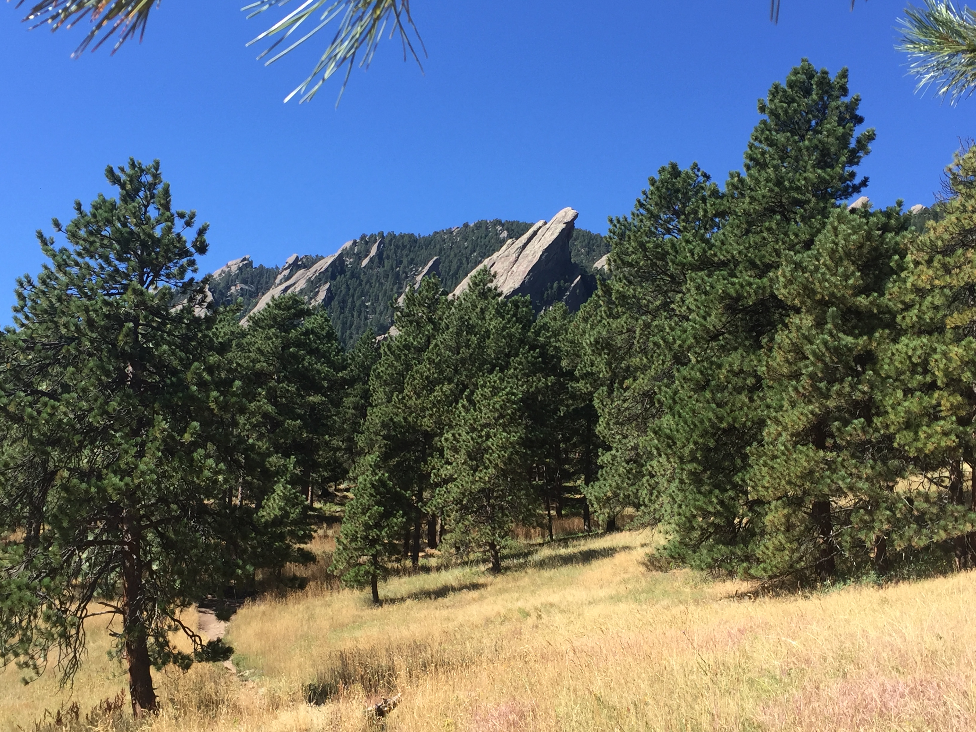 The Irons in Boulder, CO
