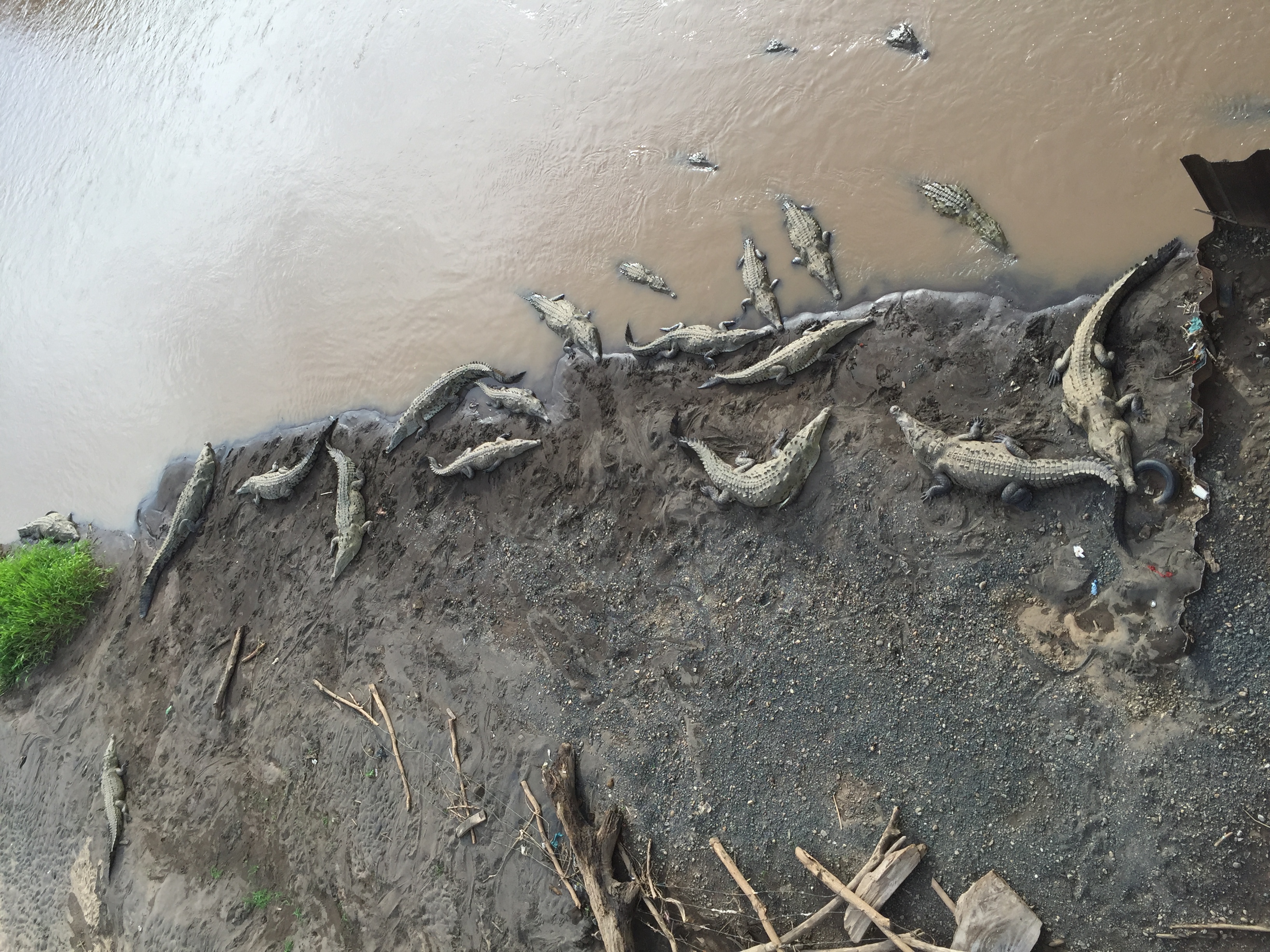 Crocks in Costa Rica